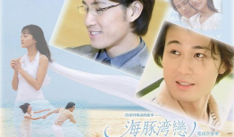 海豚湾恋人电视剧,探寻爱情与命运的海洋传奇