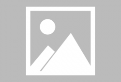 小黑猫动漫,萌动心灵，奇幻冒险之旅